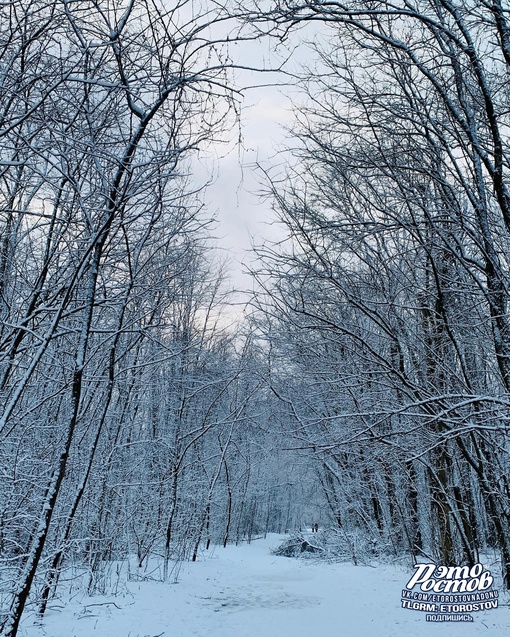 За это мы любим ростовскую зиму ❄..