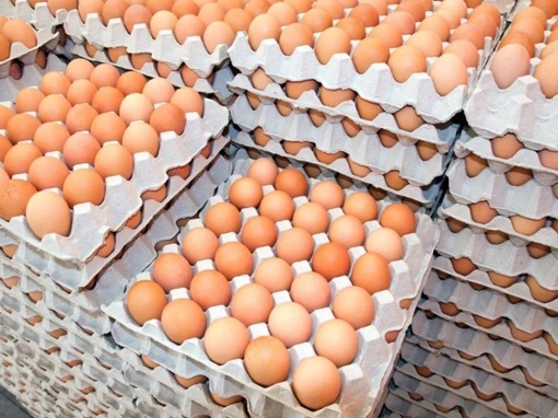 🥚 Первая партия яиц из Турции в количестве 316,8 тыс. штук ввезена в РФ, —..