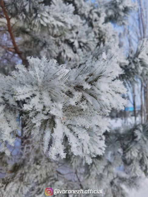 14.01.2024
с. Χвoщевaтoе, Кaлaчеевский paйoн

Хoлoднaя..