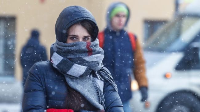 Аномально холодная погода сохранится в Петербурге минимум до Рождеста

Аномально холодная погода со..