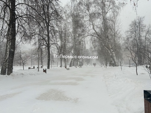 Заснеженный бульвар Советской армии в Перми..