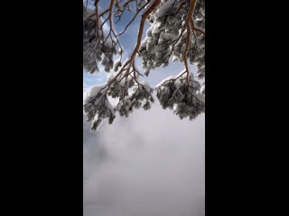 Маленькая зарисовка с горы Ленина в Мезмае❄️

На горе несколько смотровых площадок с фантастическими..