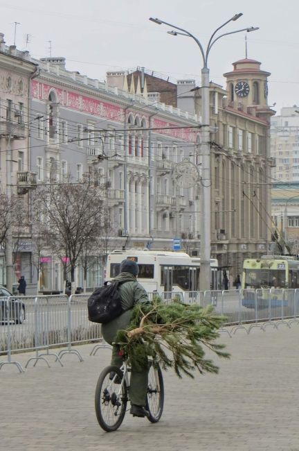 Доброе утро, Ростов..