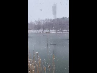 Старый Новый год со снегопадом ❄

Видео..