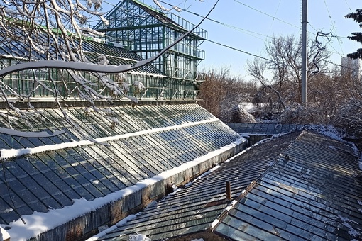 Зимняя фотопрогулка по Ботаническому саду Ростова..