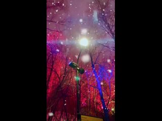 Заснеженный лес в районе станции метро Воробьевы горы.

Видео:..