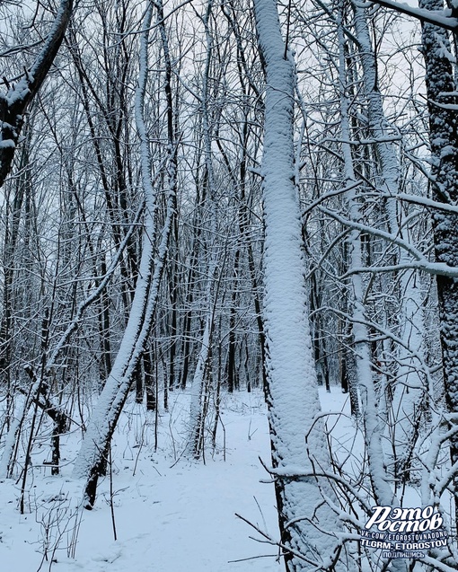 За это мы любим ростовскую зиму ❄..