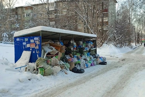 Мусорный коллапс на улице Мончегорской. Люди жалуются, что на время праздников там забыли про вывоз мусора...