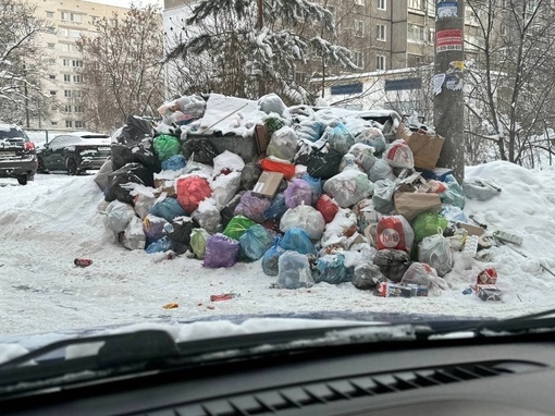 Мусорный коллапс на улице Мончегорской. Люди жалуются, что на время праздников там забыли про вывоз мусора...