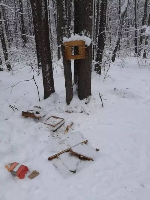 В Горкинско-Ометьевском лесу вандалы разнесли кормушки для животных 😡

В Казани начались сильные морозы, а..