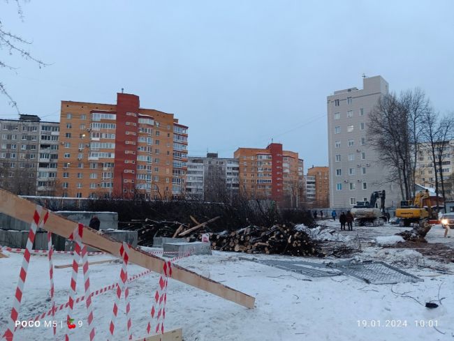 На пересечении Ким и Хрустальной орки спилили несколько десятков лип, берёз, рябин, черёмух и других..