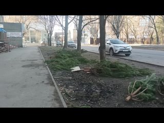 На Мечникова у "ниапа" не распроданные ёлки разбросаны по тротуару, как мусор.

Торгаши оказались..