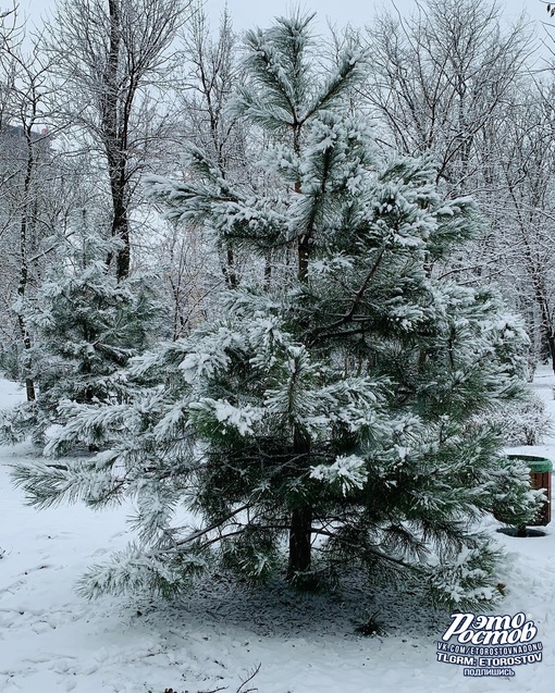 За это мы любим ростовскую зиму ❄..