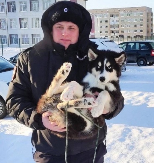 В Челябинской области участковый спас щенка, запертого на балконе

Хозяева оставили его и уехали из города...