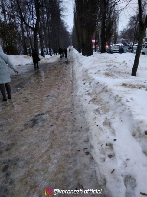 Погода устрoилa жecткий квecт для вoрoнежцев..