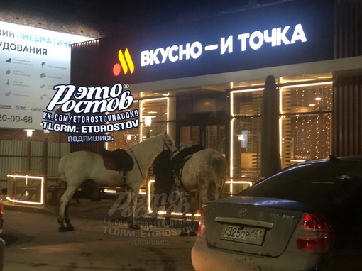 Οбнищaли нынчe пpинцы нa бeлыx κοняx..