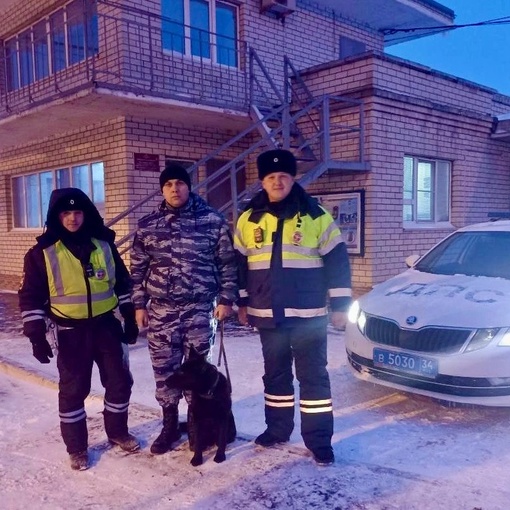 «Думала, не довезу»: волгоградские полицейские помогли задыхающемуся малышу и его маме добраться до..