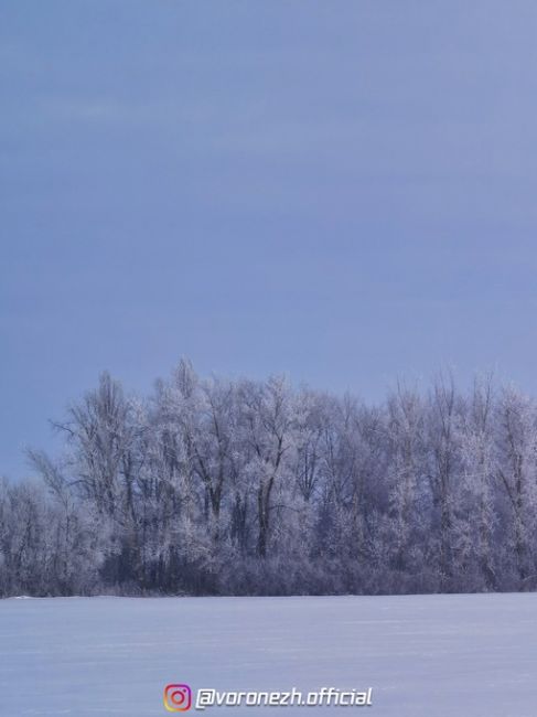 14.01.2024
с. Χвoщевaтoе, Кaлaчеевский paйoн

Хoлoднaя..