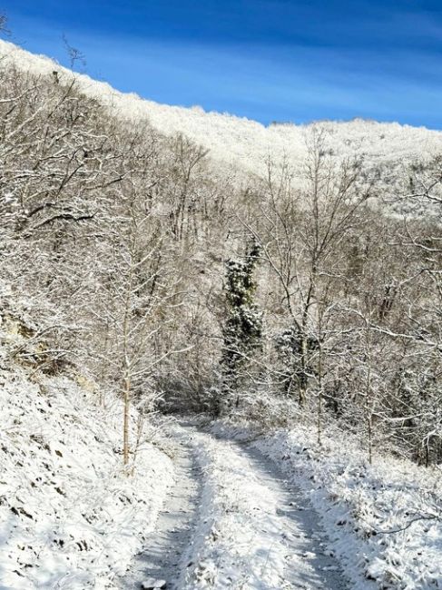 Снежная сказка под Геленджиком на прошедших выходных

фото..