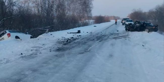 Ещё трое пострадали — в том числе двухгодовалый ребенок

В Тогучинском районе Новосибирской области..