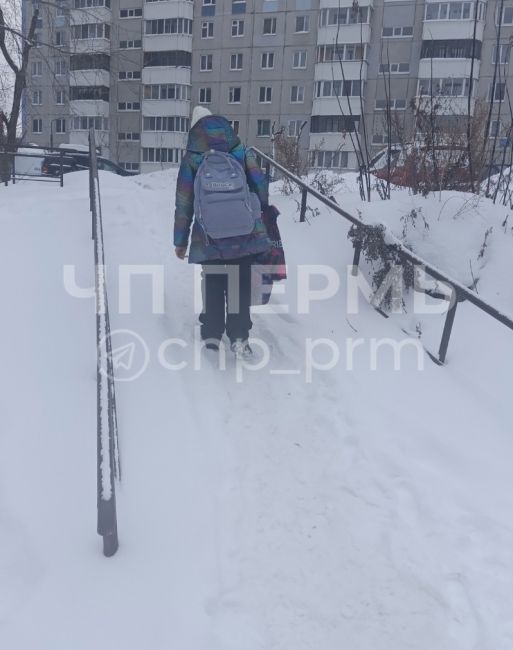 Проклятый натовец Байден не разрешает нашим чиновникам от благоустройства чистить от снега и льда лестницы..