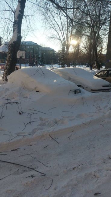 Некоторые челябинцы устали бороться со снегом и оставили свои автомобили под сугробами до лучших..