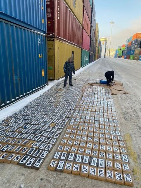 Более тонны кокаина изъяли в Петербурге

Запрещённый груз в Большом порту приняли сотрудники таможни и ФСБ...