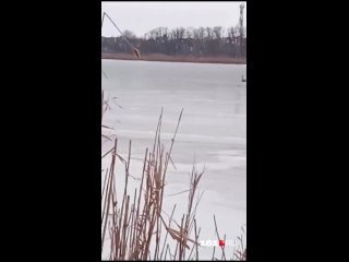 Очевидцы сообщают о вмерзших в лед гусях на Ростовском море. Птиц жалко, а что делать — непонятно 😕

«Не..