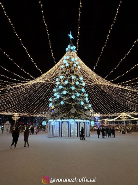 До чeго жe красивaя ёлoчка 🎄 Со cтapым Новым годом,..