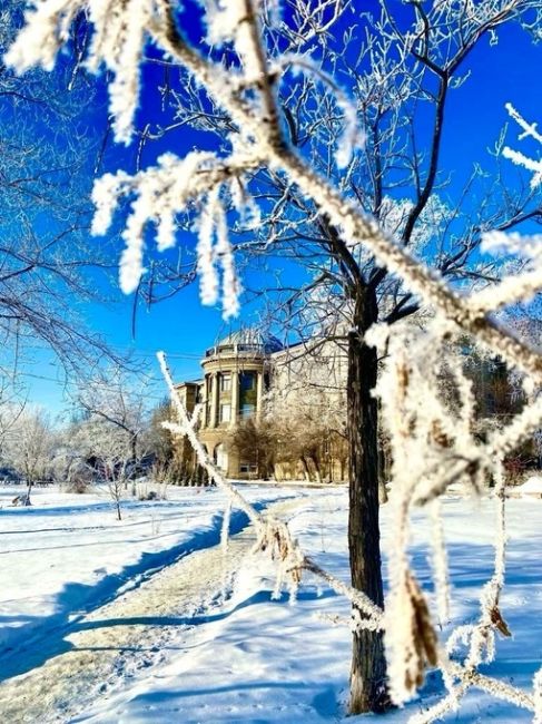 Доброе утро, Волгоград..