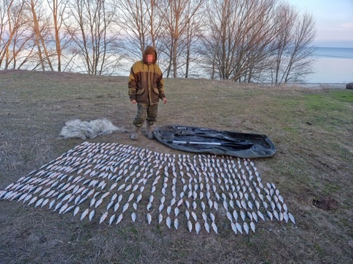 В Ростовской области поймали браконьера с рыбой на 110 000 рублей.

Очередного жулика задержали транспортные..