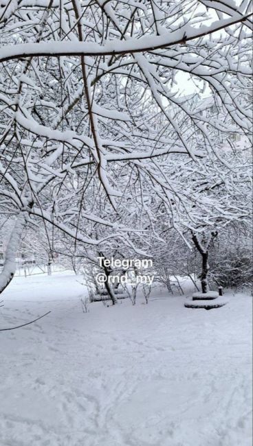 Ростов, это точно ты? Сегодня все узнали наш..