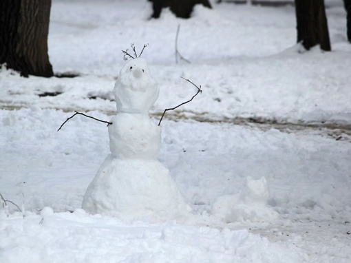 Насладимся Чистяковской рощей под первым снегом!
Красиво 🤍

📷..