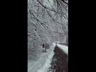 Все, мы на снег посмотрели, можете его убирать. Верните на место вчерашние +14С’😂

Видео: ledy .na..