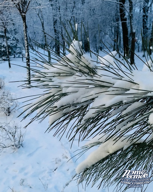 За это мы любим ростовскую зиму ❄..