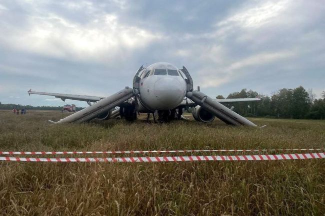 Самолет, севший в поле под Новосибирском, распилят не раньше июня

Лайнер уже точно больше не взлетит: его..