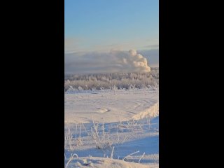 Жителей Ленобласти неделю травит горящая незаконная свалка

В деревне Низино с 27 декабря не могут потушить..