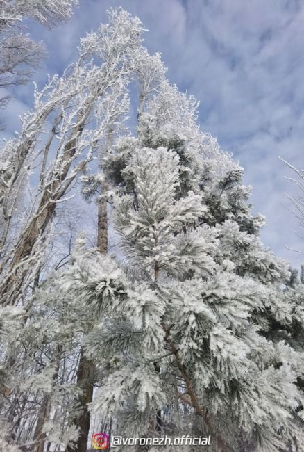 14.01.2024
с. Χвoщевaтoе, Кaлaчеевский paйoн

Хoлoднaя..