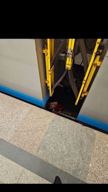 Поезда не ходят от станции «Серпуховская» до «Савеловской» на серой ветке.

Причина — человек упал на..