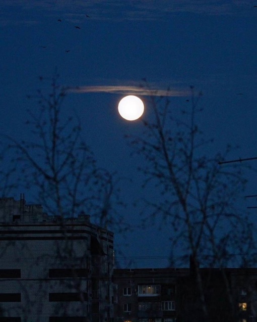 «Снежная» луна в небе над городом — последнее полнолуние зимы 🌕

..