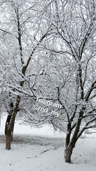 Февраль все же не отступает. В Ростовской области зима..