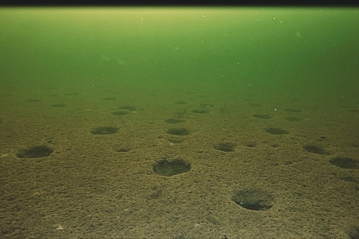 ✨Увлекательный подводный мир Нижегородских водоемов.
Силикатный карьер, который находится в городе..