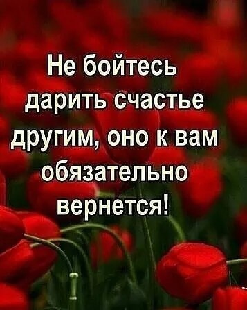 Заколотил вольер и подпер дверью: омич едва не заморил собаку до смерти

Житель Омска едва не заморил голодом..