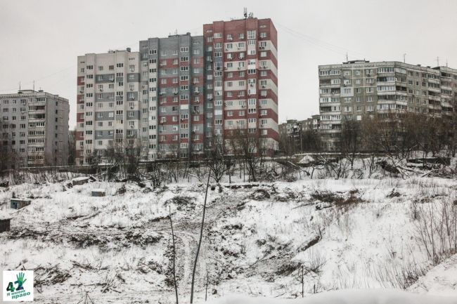 🏗🌳🚜

В овраге на улице Усилова вырубают деревья под строительство многоэтажных домов

25 января —..