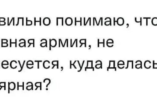 «Алкоголики, бомжи, бичи, зэки»: депутат поведал, кто едет по контракту на СВО

Откровенный диалог произошёл..