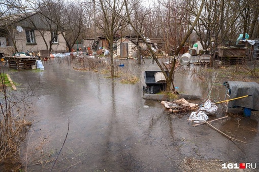 Станица Грушевская под водой..