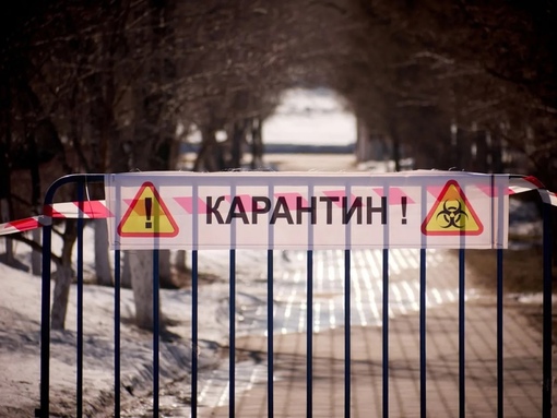 По Омской области начала расползаться опасная инфекция

Так, в четверг, 1 февраля 2024 года, опубликован указ..