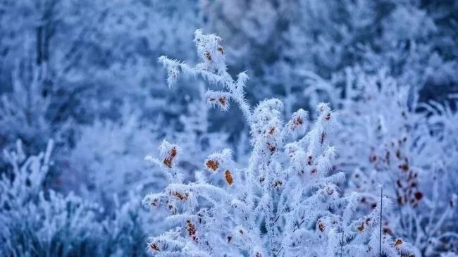 Аномальные морозы ударят по Новосибирской области в конце недели. Местами температура опустится до -38..