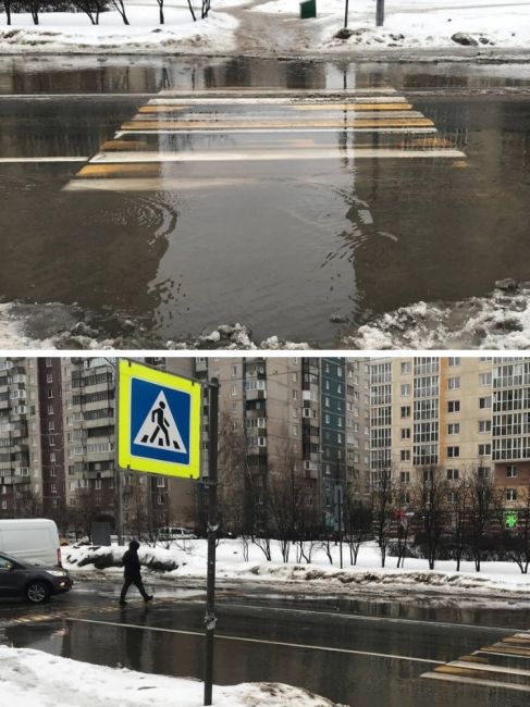 Из-за потопа петербуржцы вынуждены переходить дороги по «лежачим..