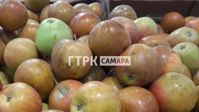 На самарских прилавках нашли очень подозрительные яблоки 

Смущает цвет 

На прилавках одного из популярных..